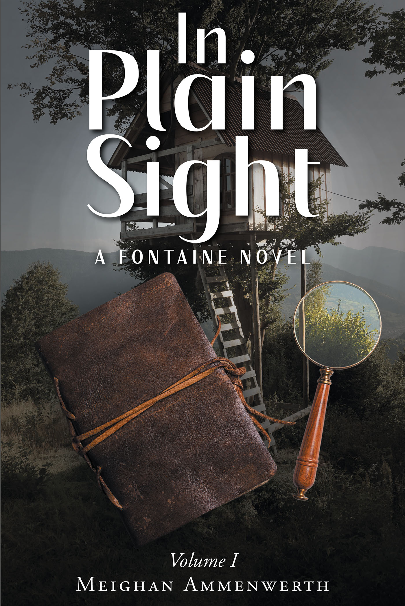 In Plain Sight Cover Image