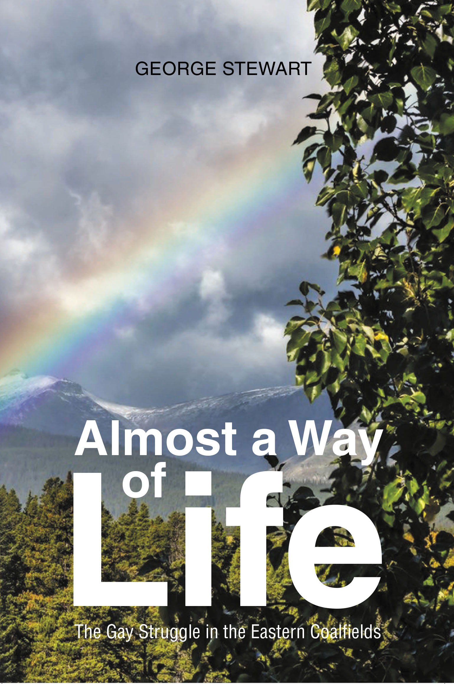 Almost a Way of Life  Cover Image