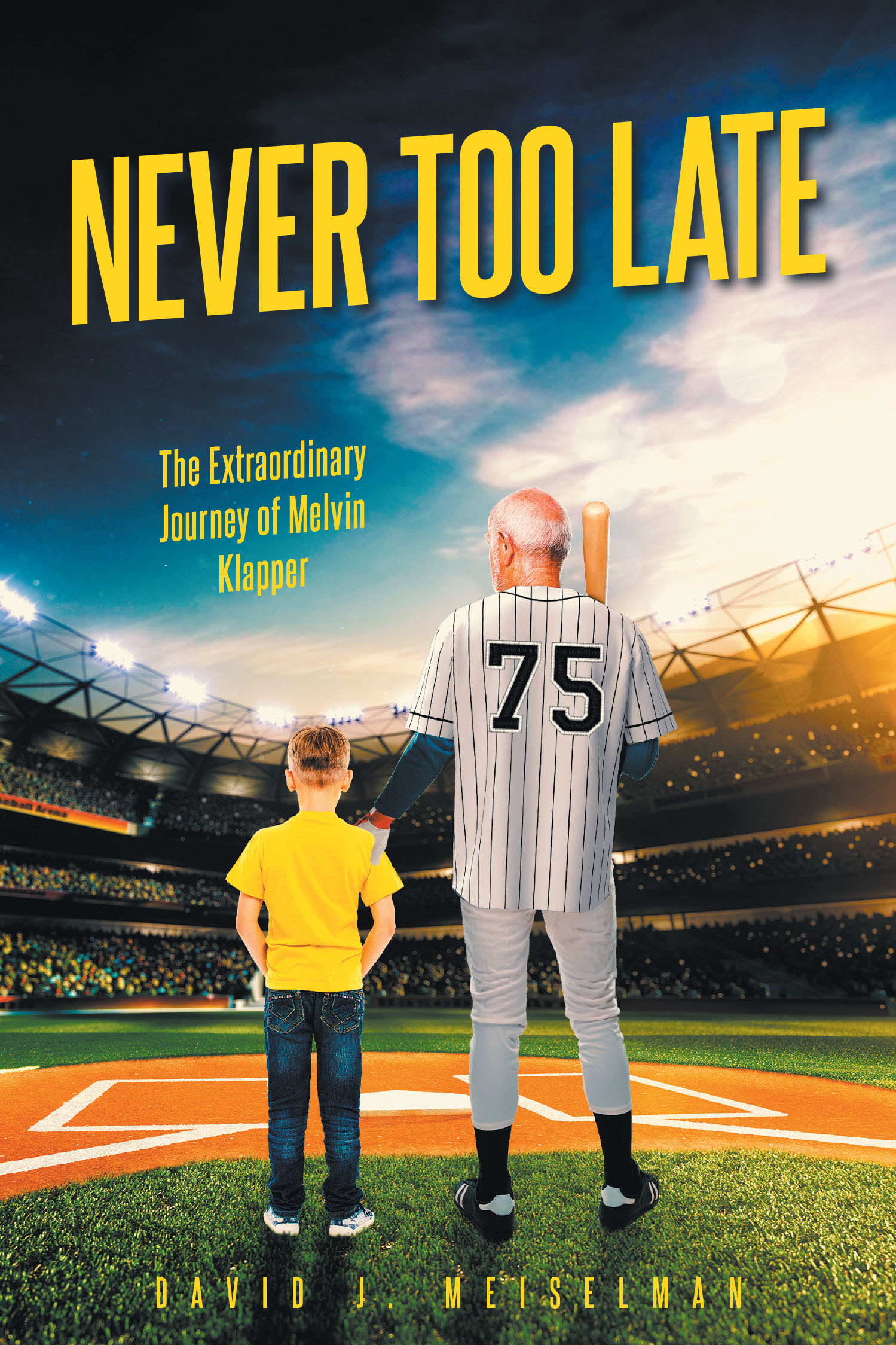 Never Too Late Cover Image