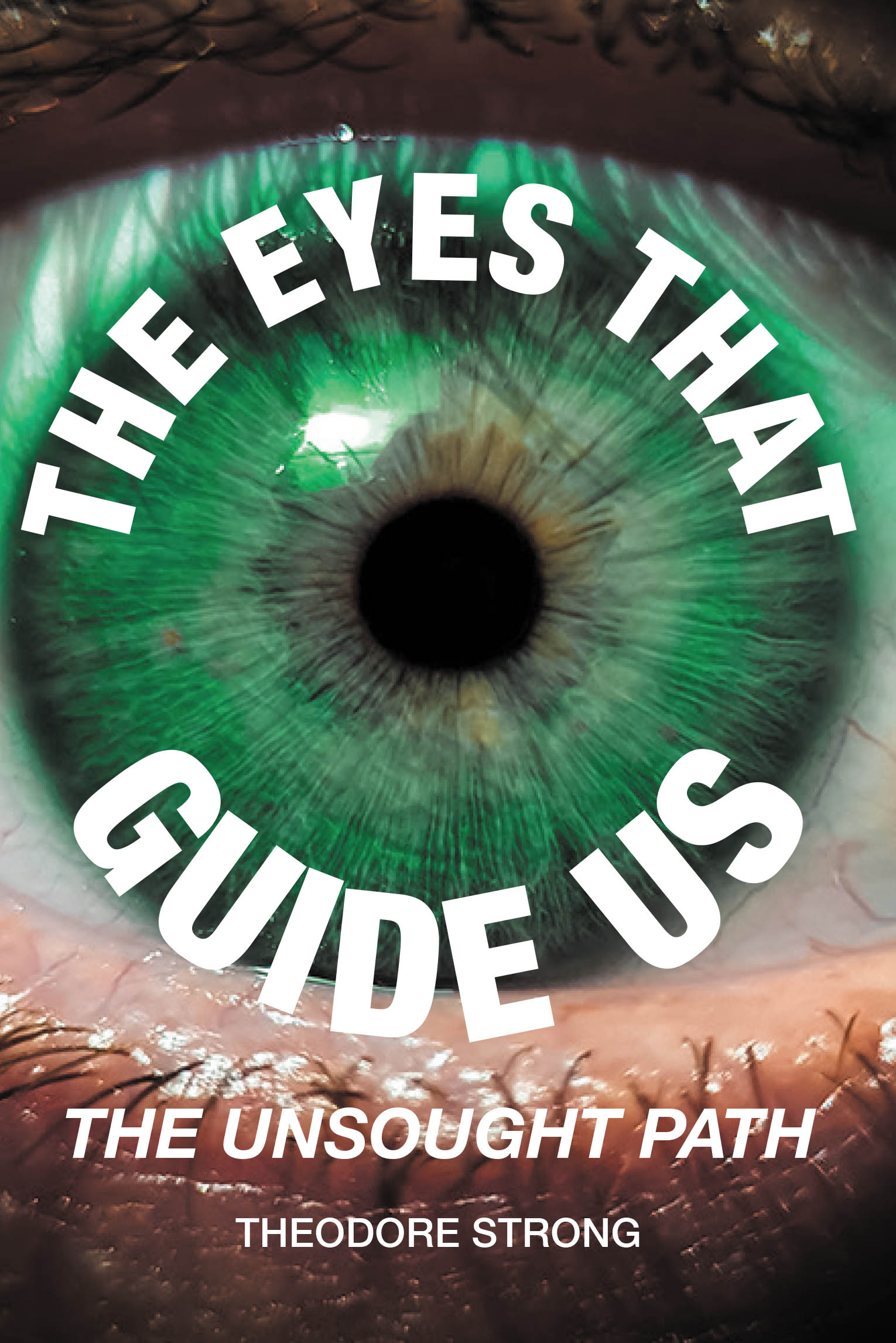 The Eyes that Guide Us Cover Image