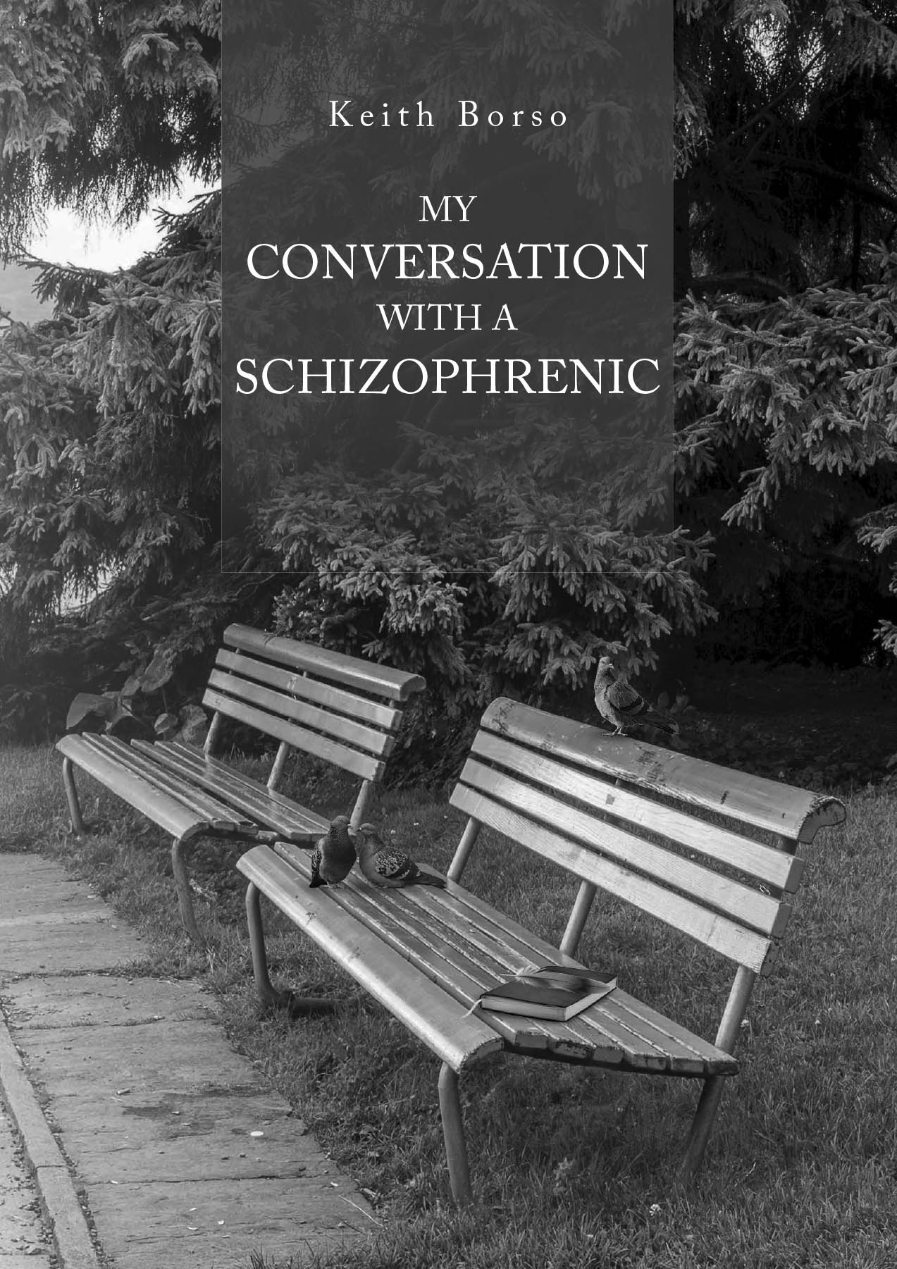 My Conversation With A Schizophrenic Cover Image
