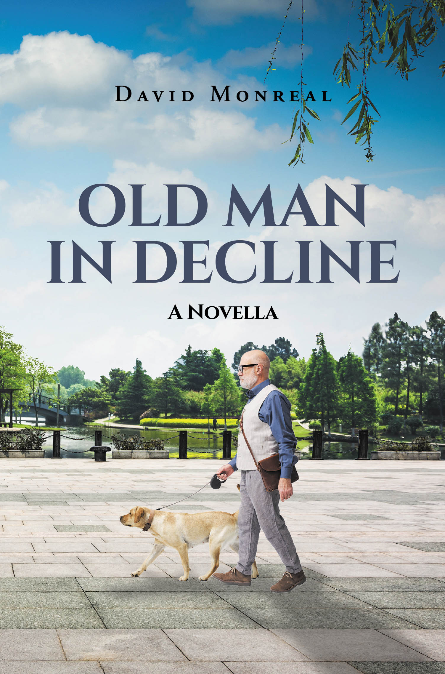 OLD MAN IN DECLINE Cover Image
