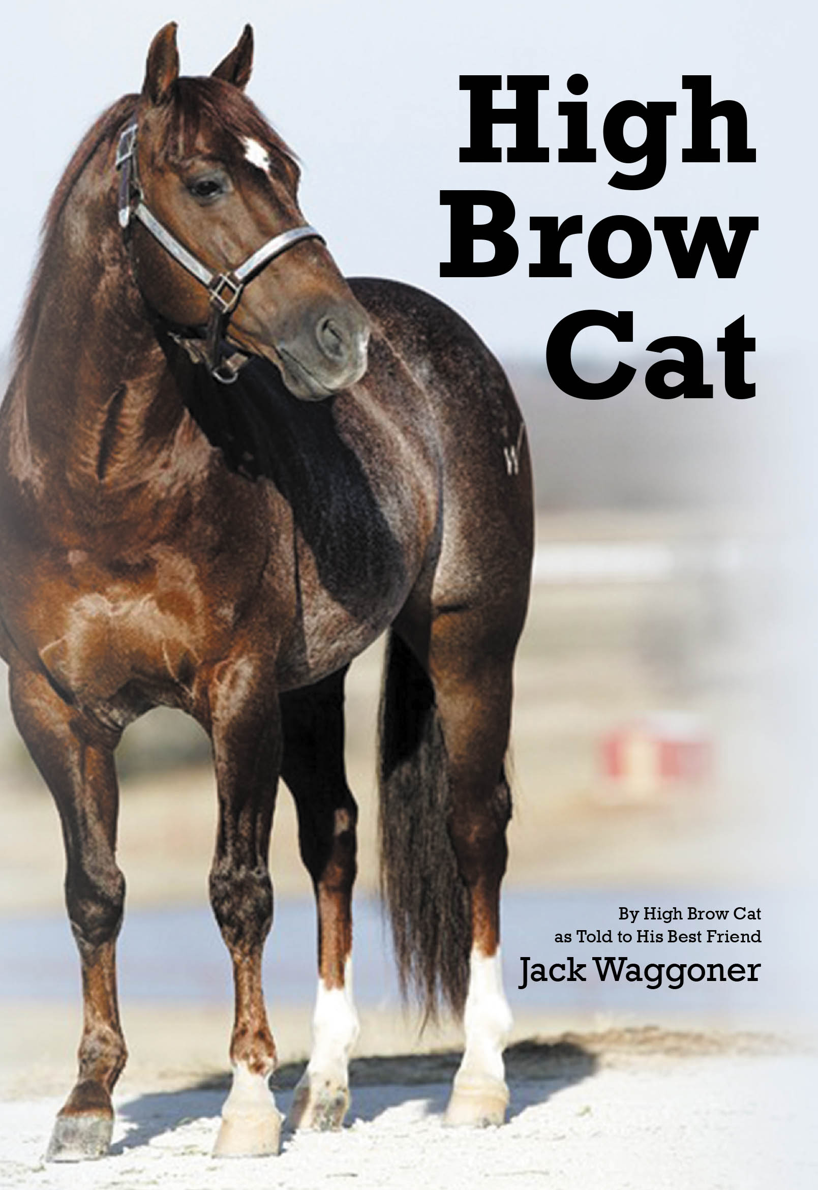 High Brow Cat Cover Image