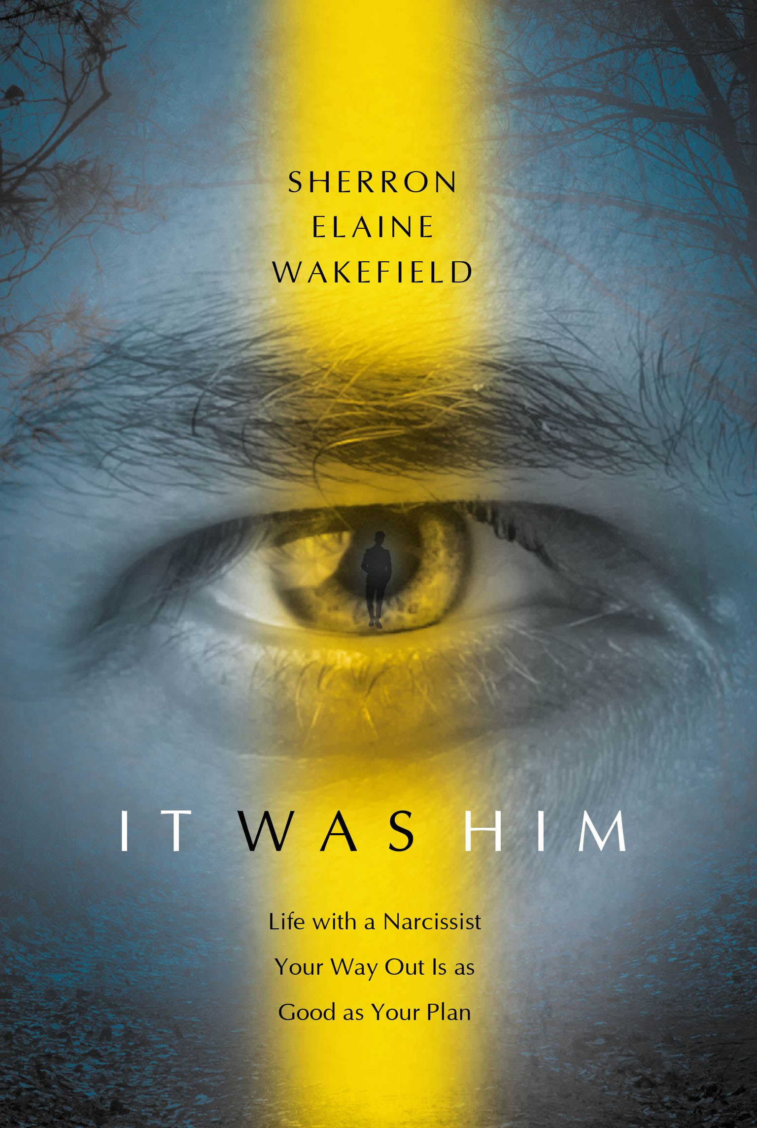 IT WAS HIM Cover Image