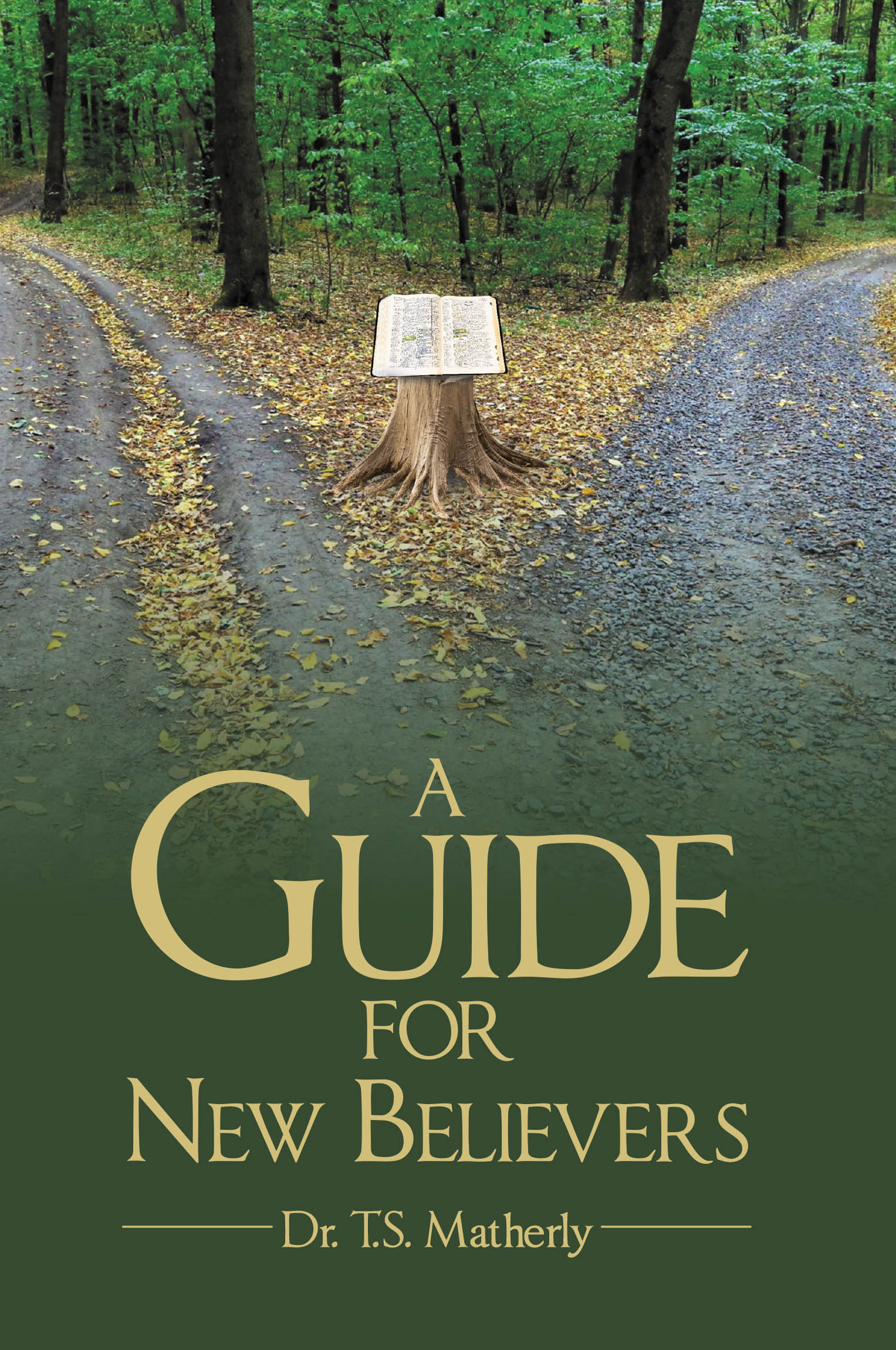 A Guide For New Believers Cover Image