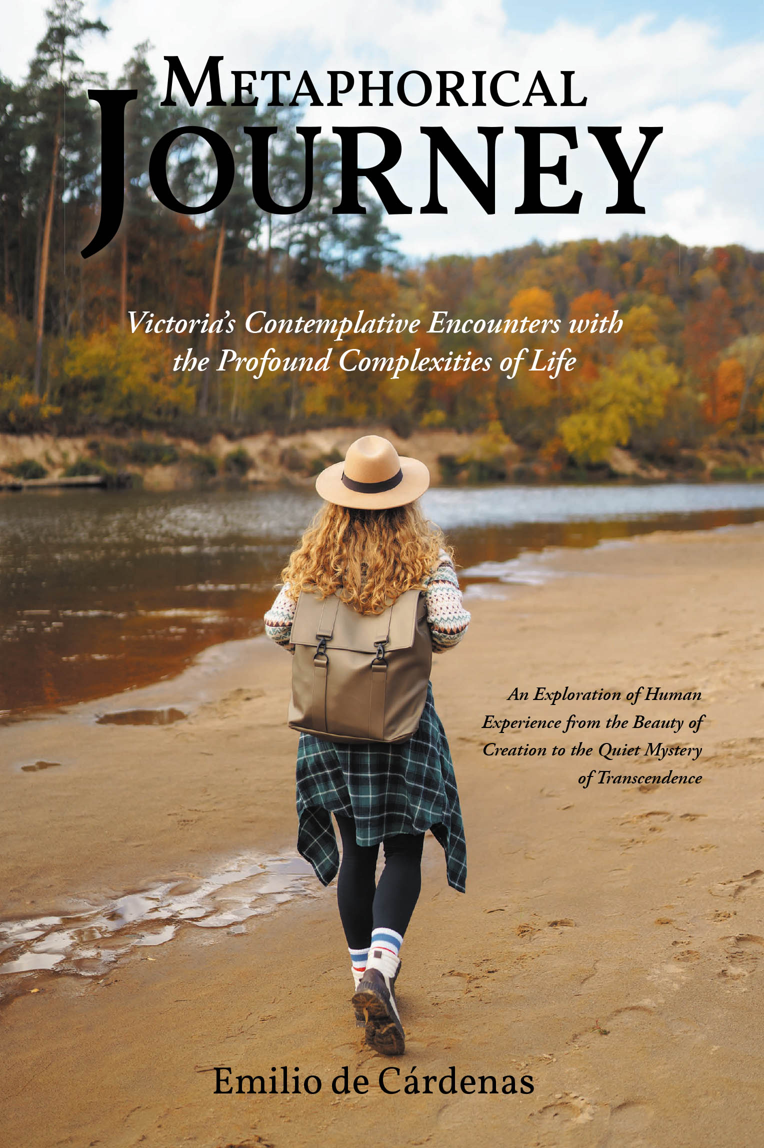 Metaphorical Journey Cover Image