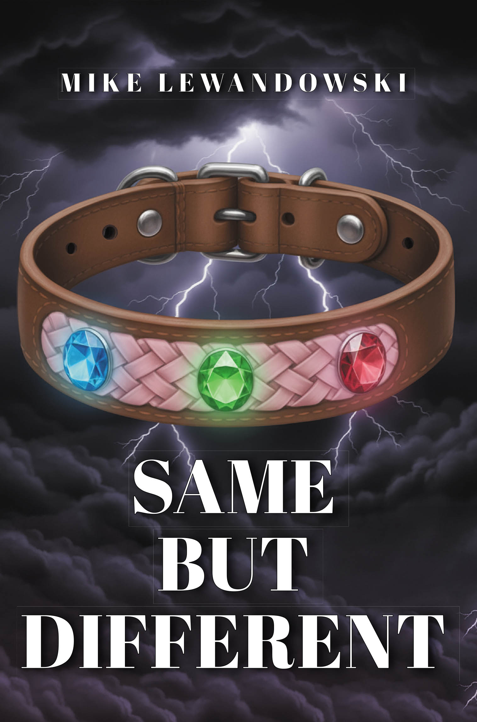 Same But Different Cover Image