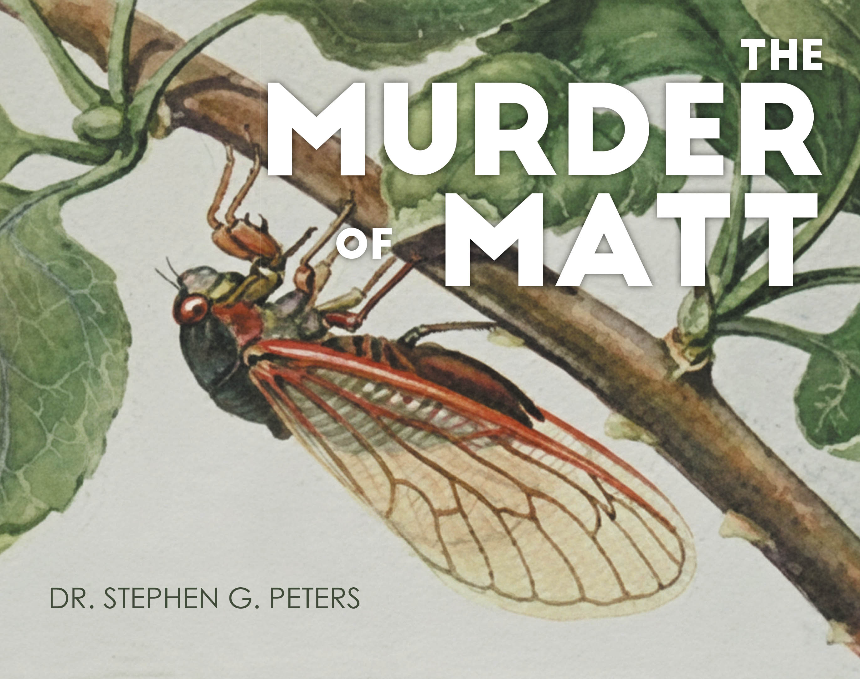 The Murder of Matt Cover Image