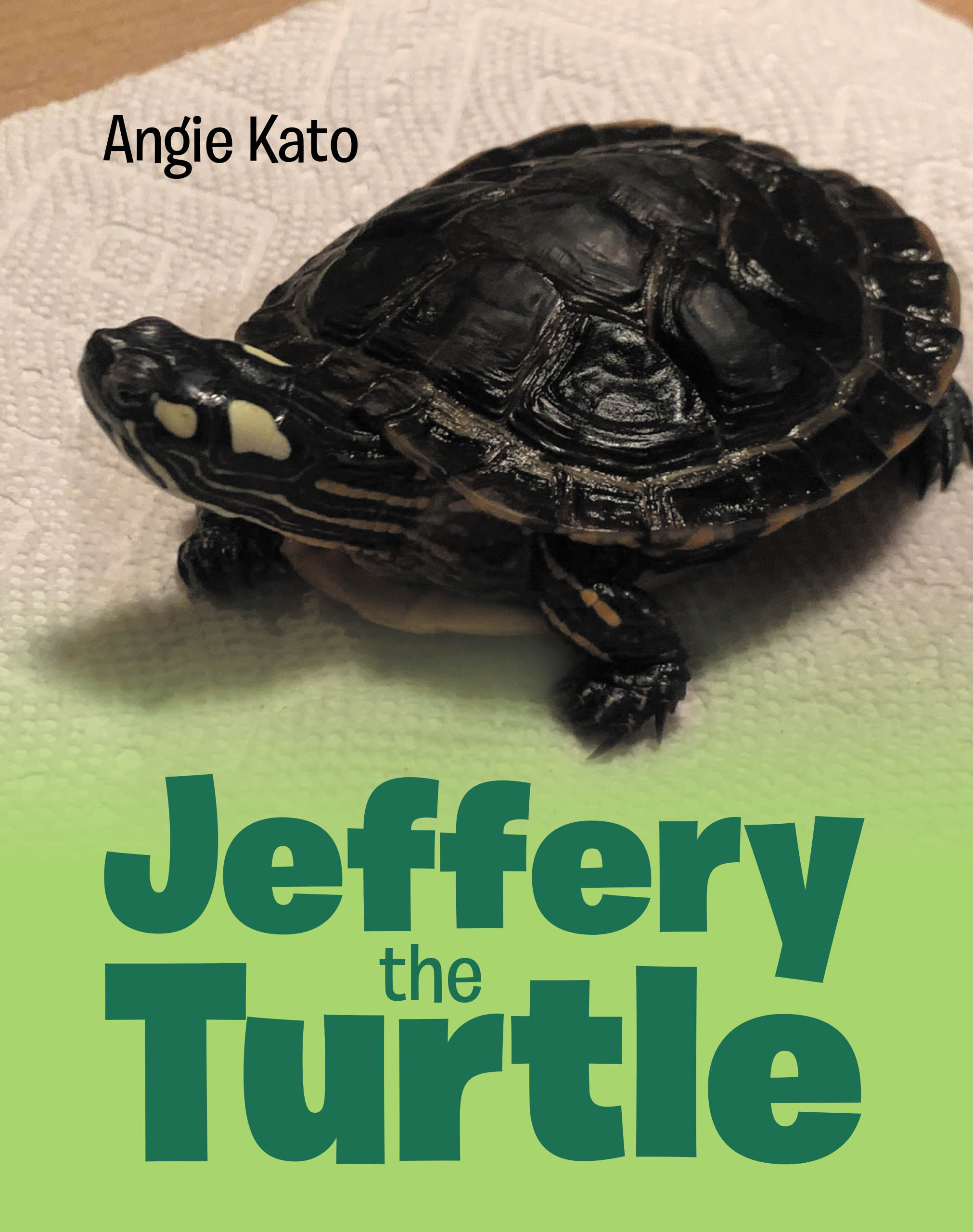 Jeﬀery the Turtle Cover Image