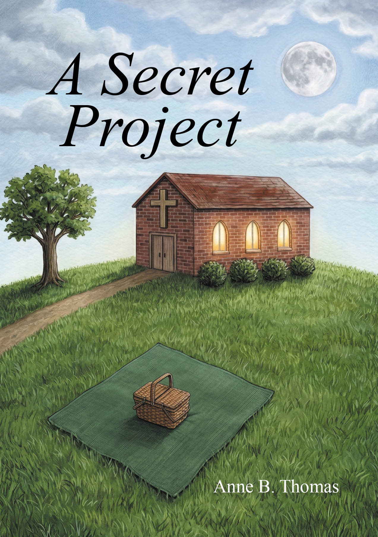 A Secret Project Cover Image